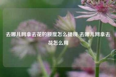 拿去花提现方法解析