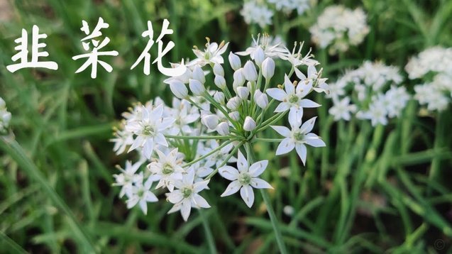 花呗真的合法吗？消费信贷的法律风险全知道