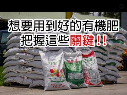 得物佳物分期额度合理利用指南