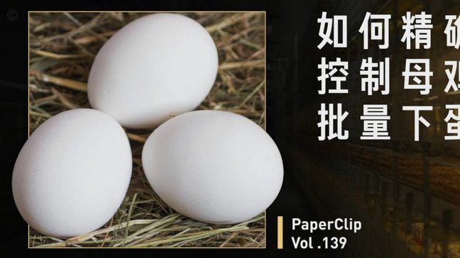 得物佳物分期额度怎么套