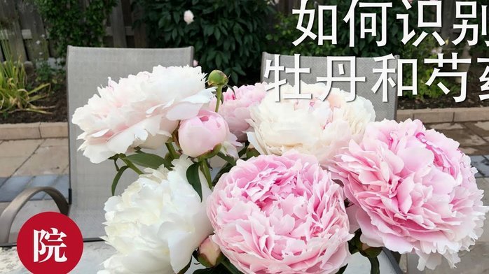花呗套现行为揭秘