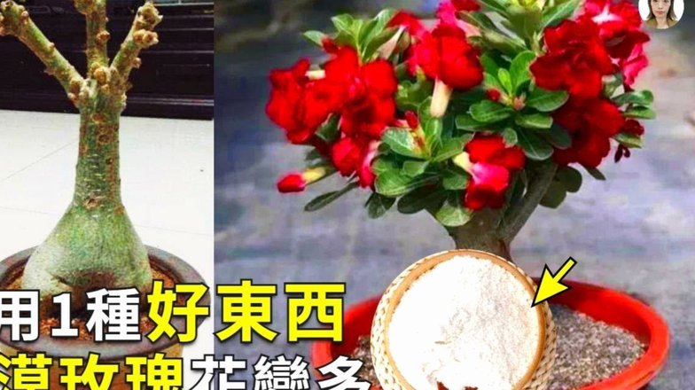 深度复盘2021花呗的“套路”：这背后的金融陷阱是什么？