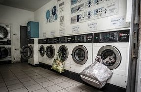 羊小咩信息更新的深层影响