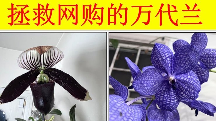 这几个渠道别错过了