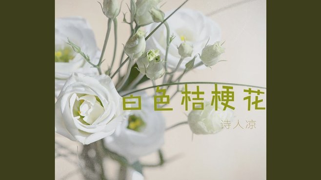 怎么联系花呗官方