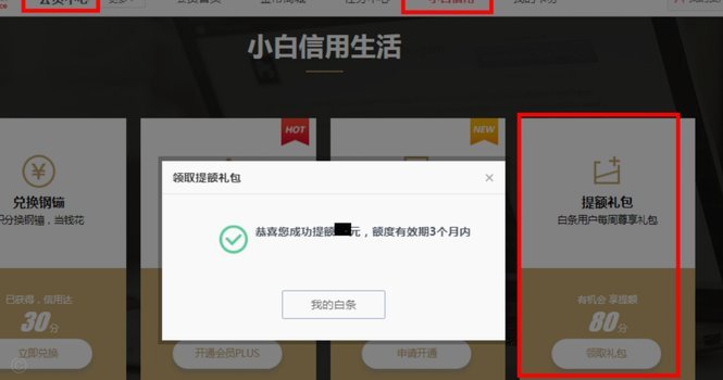 京东白条提现全攻略：最新额度与操作流程详解