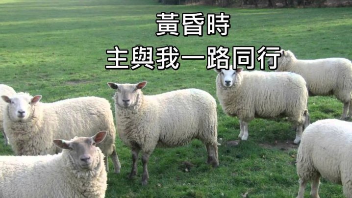 羊小咩消费额度怎么提现