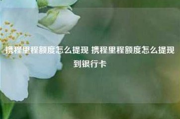携程拿去花取现技巧
