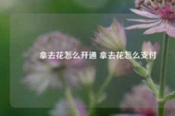 携程拿去花取现技巧