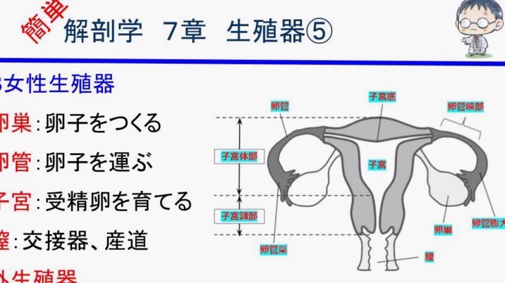 羊小咩便荔卡包套现全攻略：5步轻松提现现金
