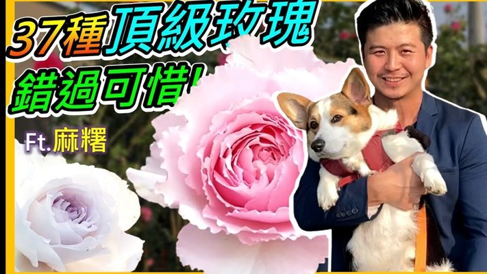 拿去花还款方式全解析