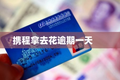 携程拿去花2000能套吗