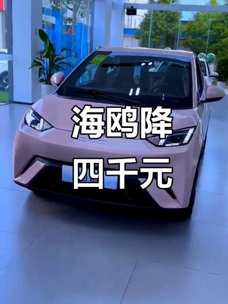 海鸥花呗平台 现在还有吗