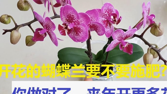 套花呗出来要24小时后才能用吗