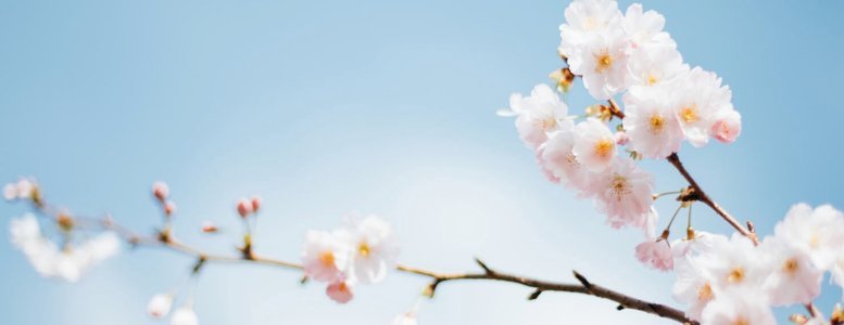 分期乐是什么平台合法吗