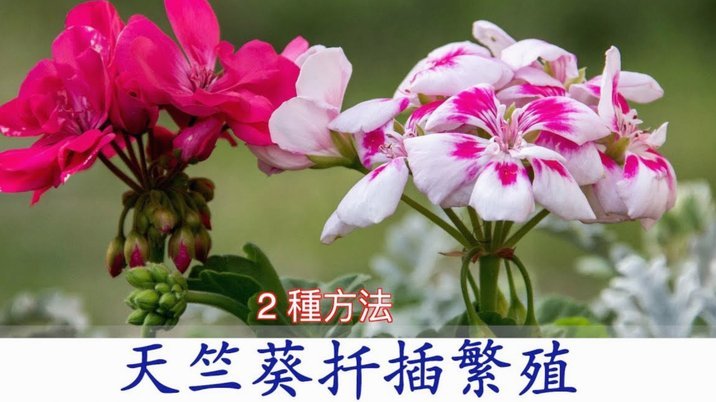 花呗套现：隐藏的风险与隐患