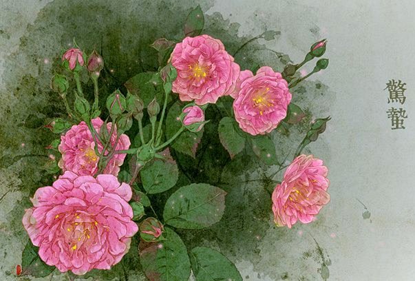 频繁套花呗会怎样