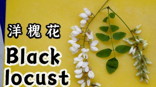 携程