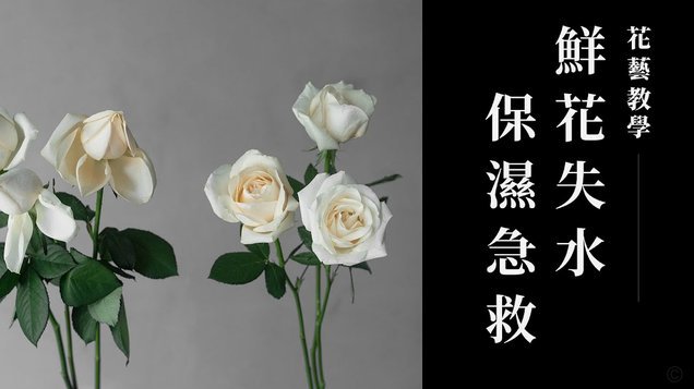 花呗钱能提现吗？看完别再问！