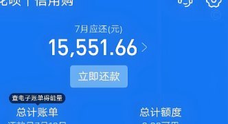 套花呗是什么东西