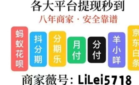 套花呗是什么东西