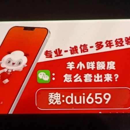 羊小咩额度难求：谁能抢到？