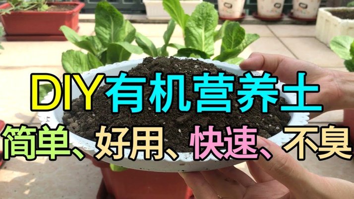 便荔卡套现攻略：简单有效方法解析