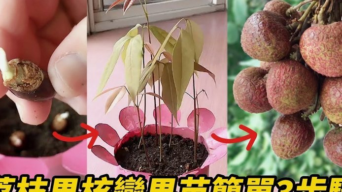 便荔卡套现最简单方法