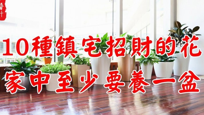 拿去花套现5000几个点