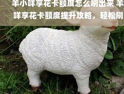 羊小咩1000额度