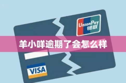 羊小咩借款额度为何无法显示？