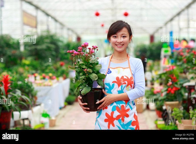商户自刷花呗的风险与后果