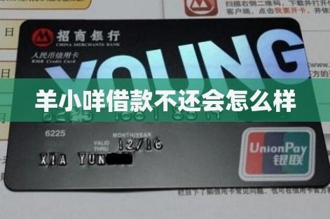 羊小咩借款额度如何确定
