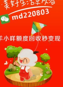羊小咩借款额度在哪