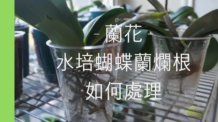 拿去花如何取出来用 取款机