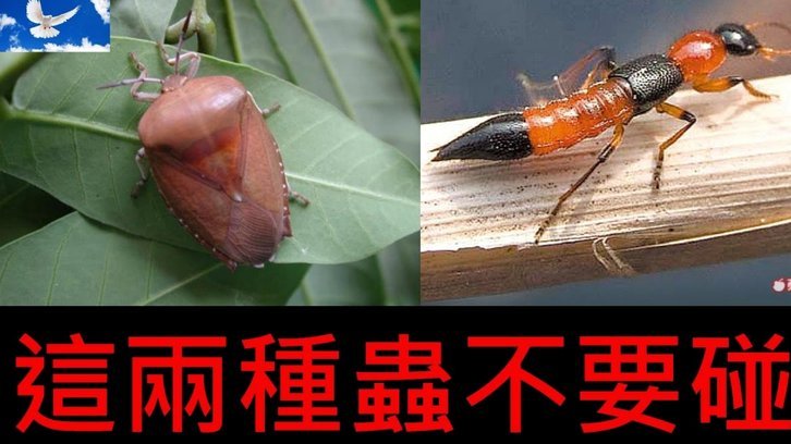 便荔卡消费额度怎么提现