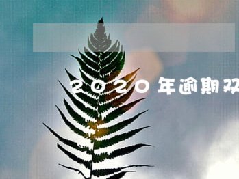 秒用花真的会上征信吗？
