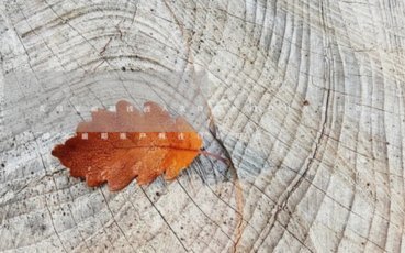 秒用花上征信吗
