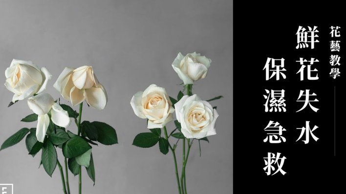 携程拿去花还款技巧