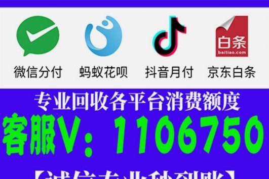 白条显示可以取现为什么不成功